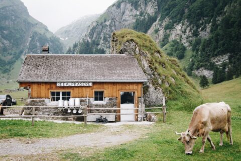 seealpsee schende appenzell suisse