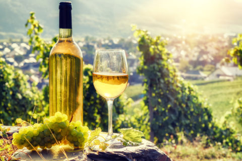 Routes des vins Alsace - France