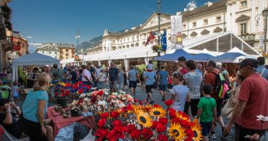 VALLE D'AOSTA-Foire d'été (foto Enrico Romanzi)-0718